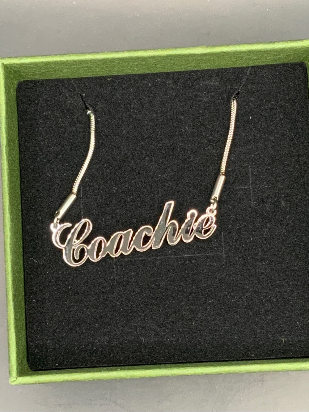 Coachie Necklace in Silver